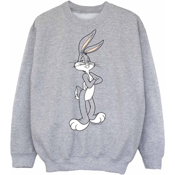 Vêtements Garçon Sweats Dessins Animés Bugs Bunny Crossed Arms Gris