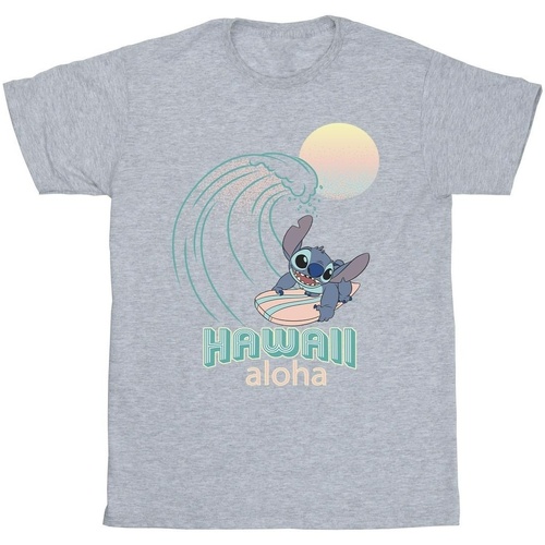 Vêtements Homme T-shirts manches longues Disney Lilo And Stitch Hawaii Gris