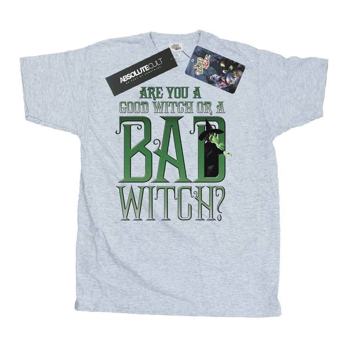 Vêtements Homme T-shirts manches longues The Wizard Of Oz Good Witch Bad Witch Gris