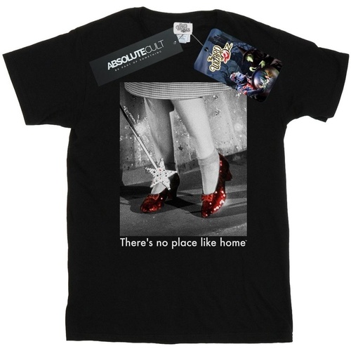 Vêtements Homme T-shirts manches longues The Wizard Of Oz Ruby Slippers Photo Noir