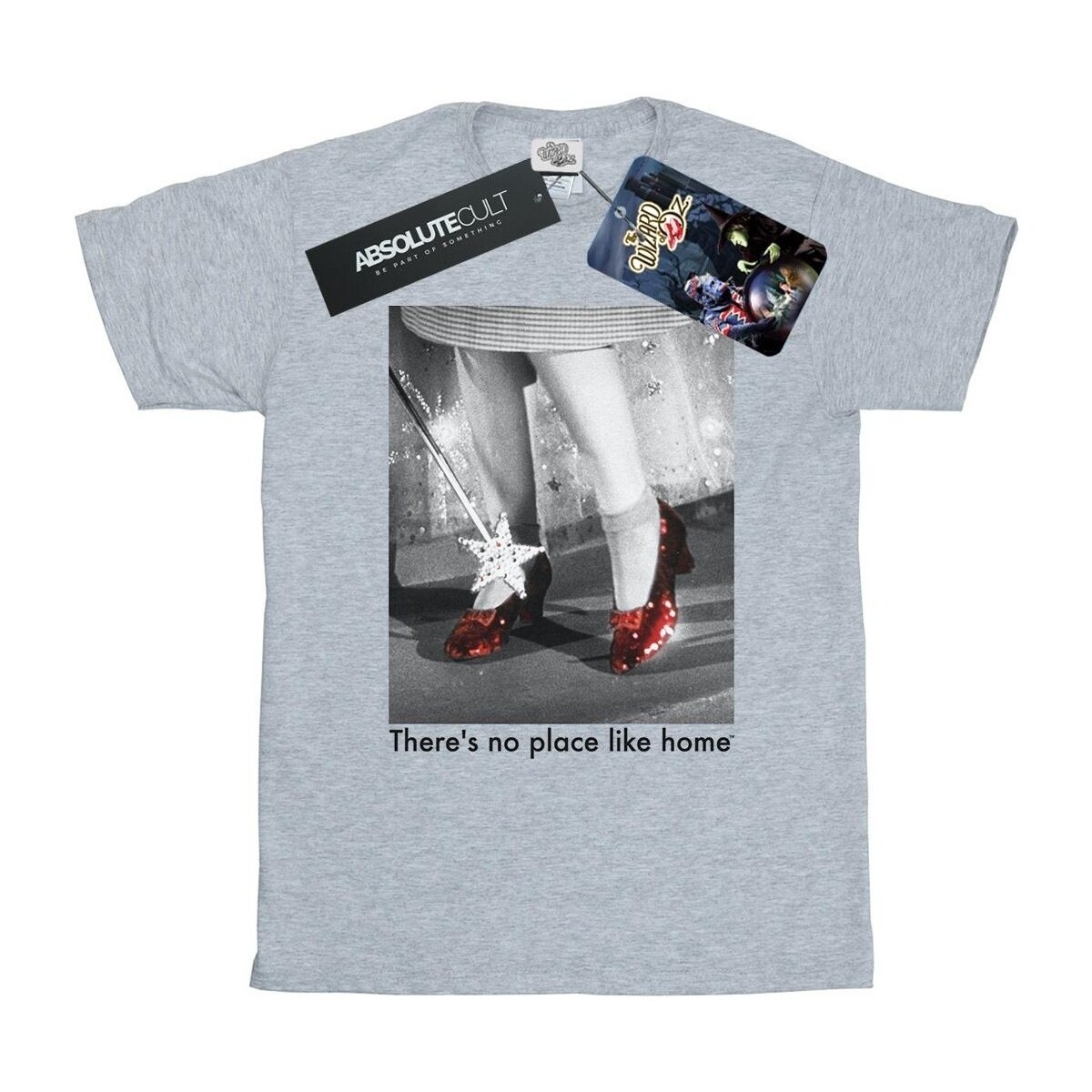Vêtements Homme T-shirts manches longues The Wizard Of Oz Ruby Slippers Photo Gris