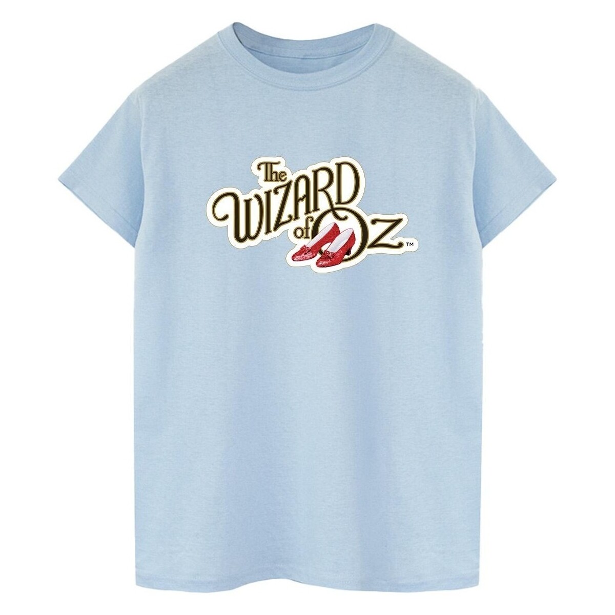 Vêtements Homme T-shirts manches longues The Wizard Of Oz Shoes Logo Bleu