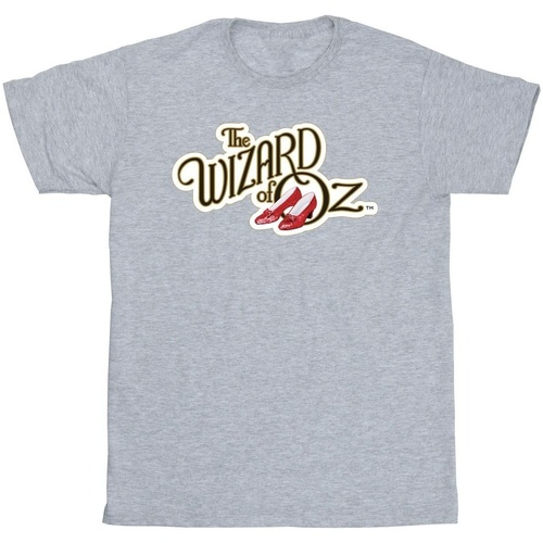 Vêtements Homme T-shirts manches longues The Wizard Of Oz Shoes Logo Gris