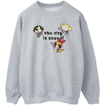 Vêtements Homme Sweats The Powerpuff Girls Girls The Day Is Saved Gris