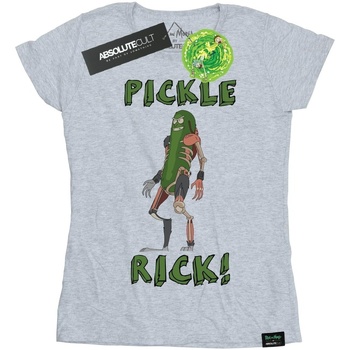Vêtements Femme T-shirts manches longues Rick And Morty Pickle Rick Gris