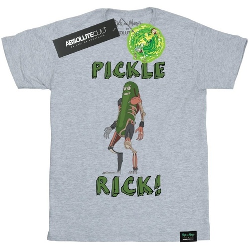 Vêtements Strada T-shirts manches longues Rick And Morty Pickle Rick Gris