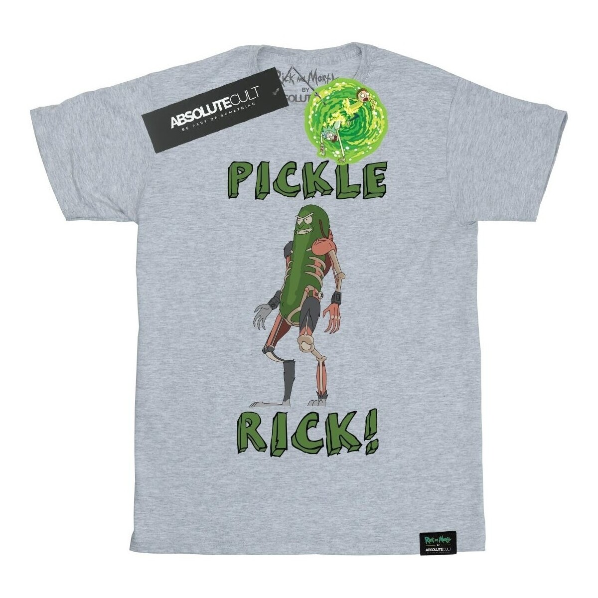 Vêtements Homme T-shirts manches longues Rick And Morty Pickle Rick Gris