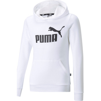 Vêtements Enfant Sweats Amp Puma ESS Logo Hoodie TR G Blanc