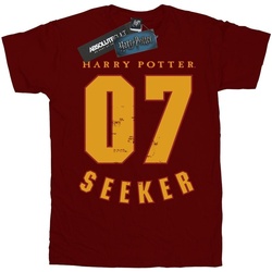 Vêtements Garçon T-shirts manches courtes Harry Potter Seeker 07 Multicolore
