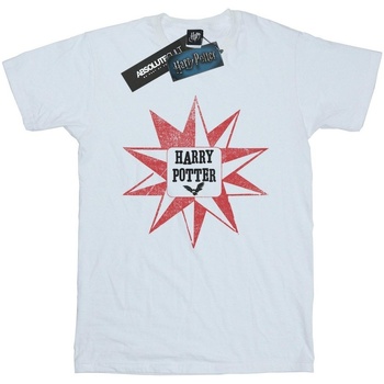 Vêtements Garçon T-shirts manches courtes Harry Potter Hedwig Star Blanc