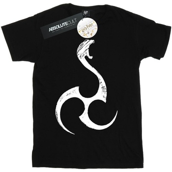 Vêtements Garçon T-shirts manches courtes Harry Potter BI50161 Noir