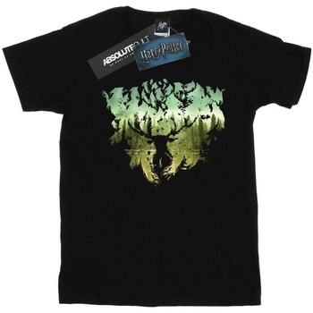 Vêtements Garçon T-shirts manches courtes Harry Potter Magical Forest Noir