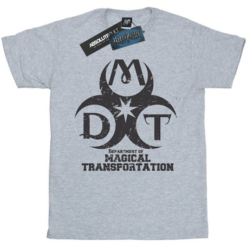 Vêtements Garçon T-shirts manches courtes Harry Potter Autres types de lingerie Transportation Logo Gris