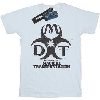 Vêtements Garçon T-shirts manches courtes Harry Potter Department Of Magical Transportation Logo Blanc