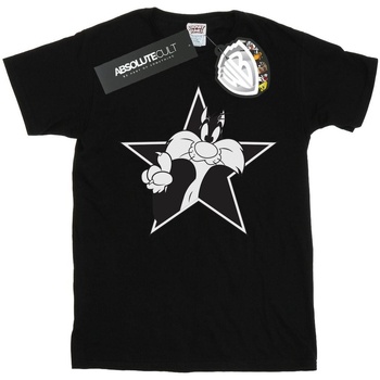 Vêtements Homme T-shirts manches longues Dessins Animés Sylvester Mono Star Noir