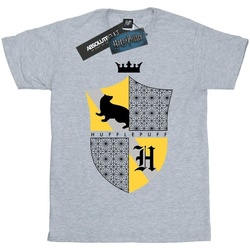 Vêtements Garçon T-shirts manches courtes Harry Potter Hufflepuff Shield Gris