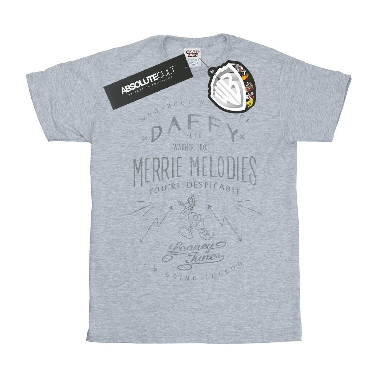 Vêtements Homme T-shirts manches longues Dessins Animés Daffy Duck Despicable Gris