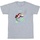 Vêtements Garçon T-shirts manches courtes Disney BI50359 Gris