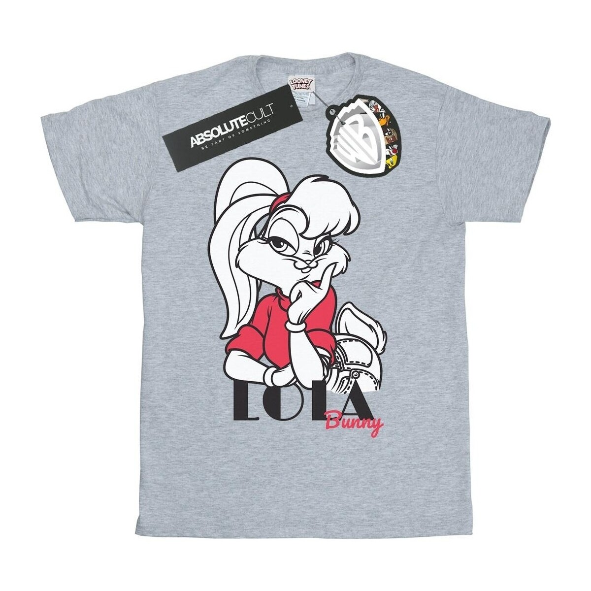 Vêtements Garçon T-shirts manches courtes Dessins Animés Classic Lola Bunny Gris