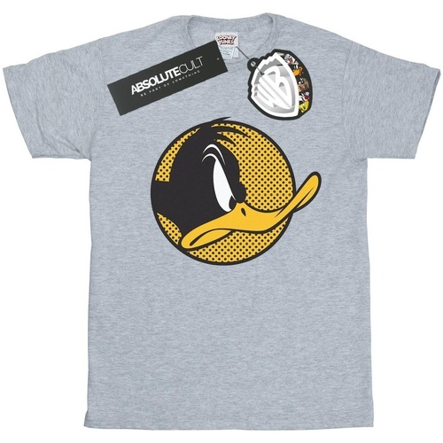 Vêtements Garçon T-shirts manches courtes Dessins Animés Daffy Duck Dotted Profile Gris