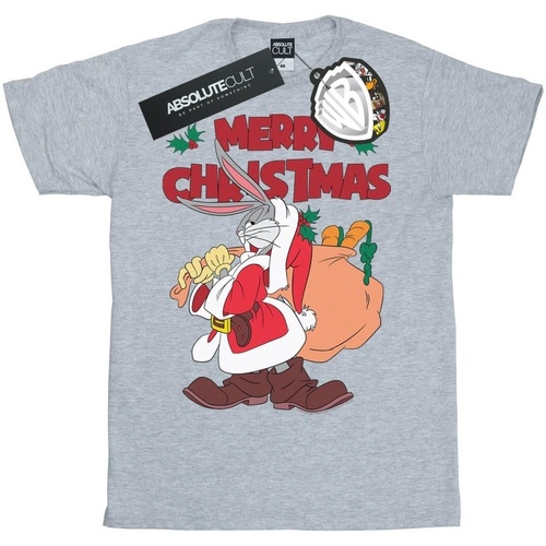 Vêtements Homme T-shirts manches longues Dessins Animés Santa Bugs Bunny Gris