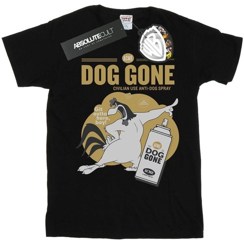 Vêtements Garçon T-shirts manches courtes Dessins Animés Foghorn Leghorn Dog Gone Noir