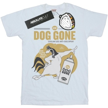 Vêtements Garçon T-shirts manches courtes Dessins Animés Foghorn Leghorn Dog Gone Blanc