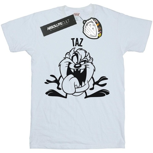 Vêtements Garçon T-shirts manches courtes Dessins Animés Taz Large Head Blanc