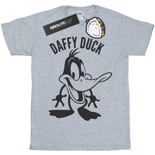 Vêtements Garçon T-shirts manches courtes Dessins Animés Daffy Duck Large Head Gris