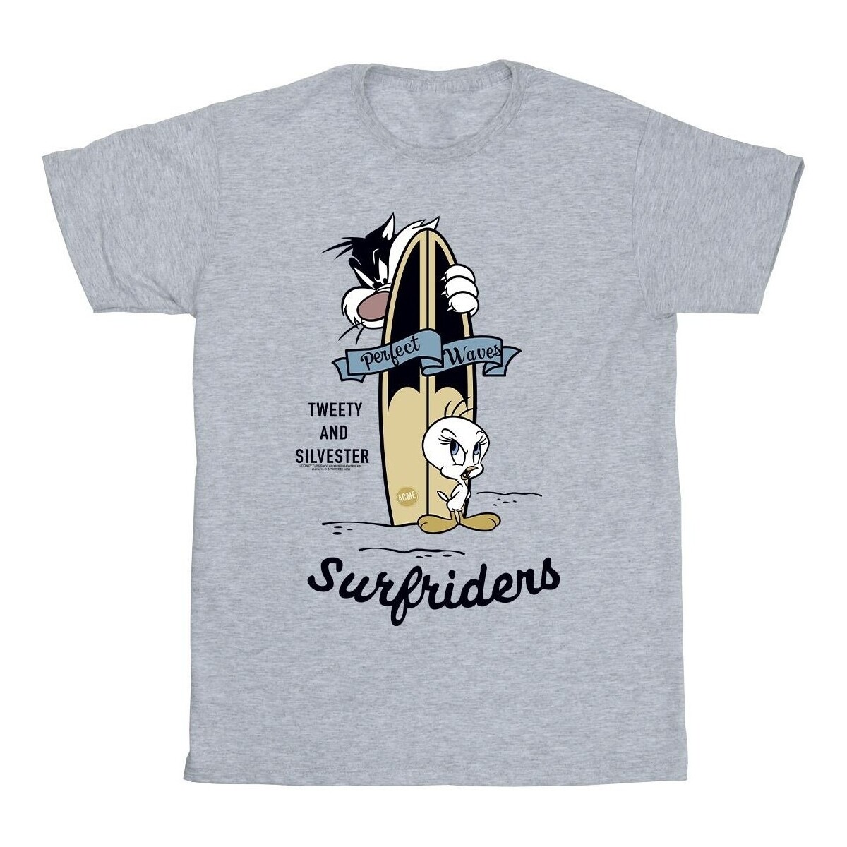 Vêtements Garçon T-shirts manches courtes Dessins Animés Tweety And Sylvester Perfect Waves Gris