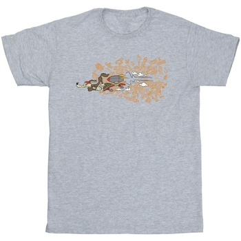 Vêtements Garçon T-shirts manches courtes Dessins Animés ACME Doodles Wile E Coyote Gris