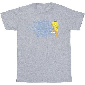 Vêtements Garçon T-shirts manches courtes Dessins Animés ACME Doodles Tweety Gris