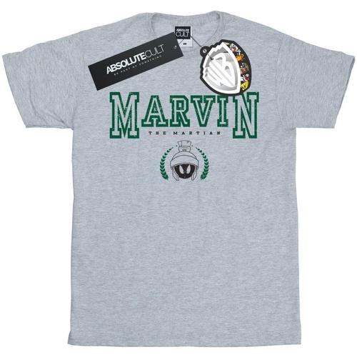 Vêtements Homme T-shirts manches longues Dessins Animés Marvin The Martian Gris
