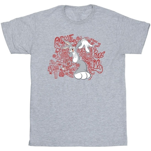 Vêtements Garçon T-shirts manches courtes Dessins Animés ACME Doodles Bugs Bunny Gris