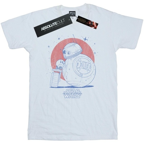 Vêtements Garçon T-shirts manches courtes Star Wars: The Rise Of Skywalker BB-8 And D-O Distressed Blanc