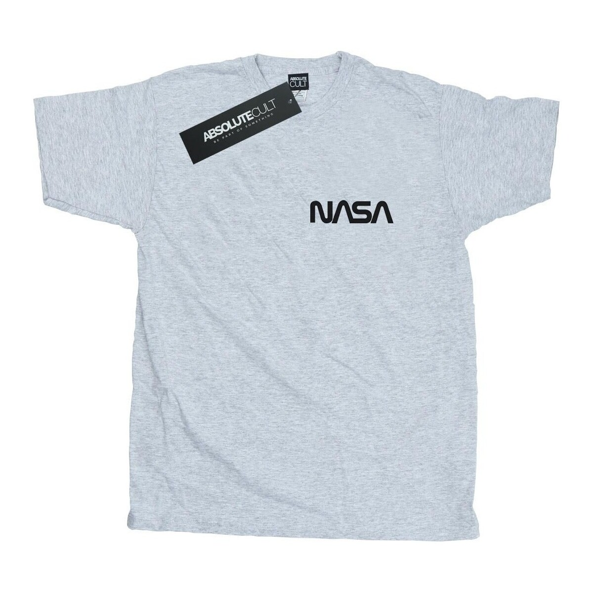 Vêtements Homme T-shirts manches longues Nasa Modern Logo Chest Gris