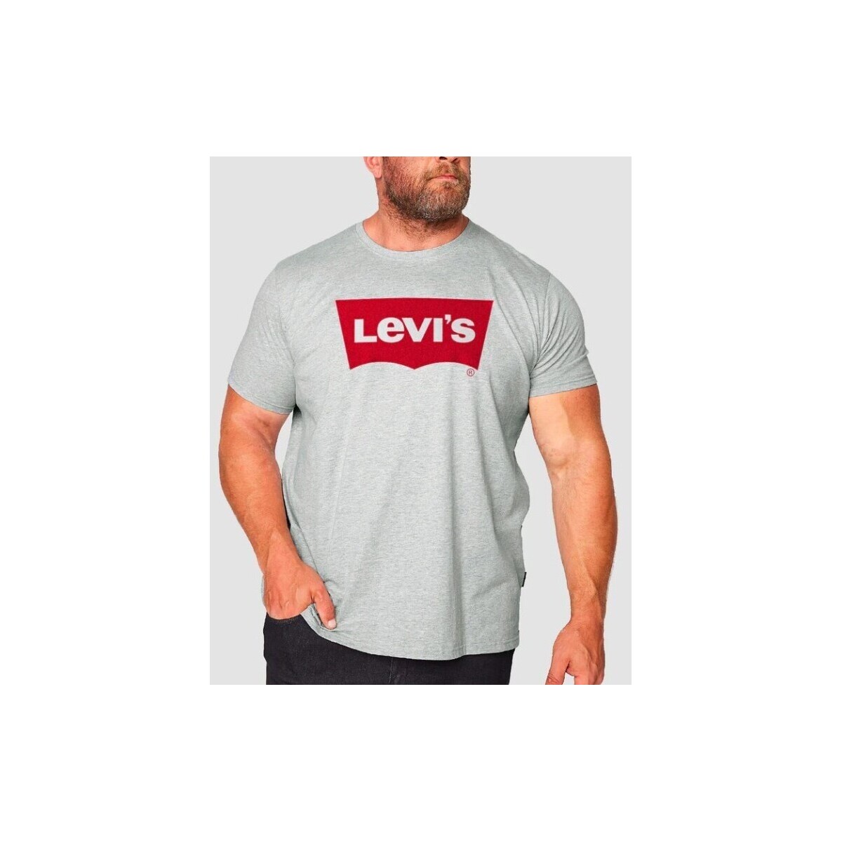 Vêtements Homme T-shirts manches courtes Levi's - Tee Shirt grande taille - gris Gris