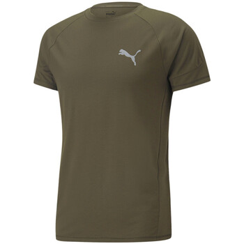Vêtements Homme T-shirts & Polos Puma 849913-70 Vert