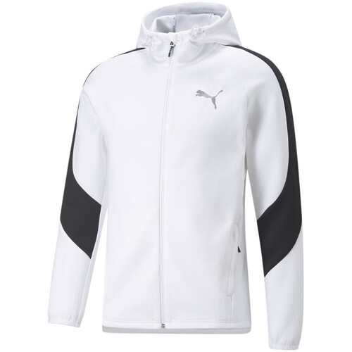 Vêtements Homme Sweats Puma 849915-02 Blanc