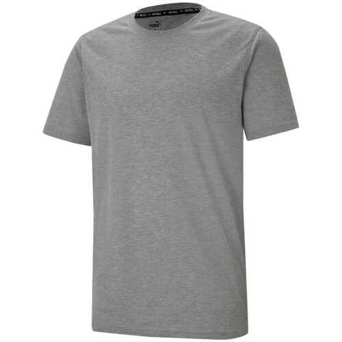 Vêtements Homme T-shirts manches courtes Puma 520316-03 Gris