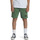Vêtements Garçon slim Shorts / Bermudas Quiksilver Easy Day Vert