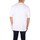 Vêtements Homme T-shirts manches courtes Dickies DK0A4YFC Blanc