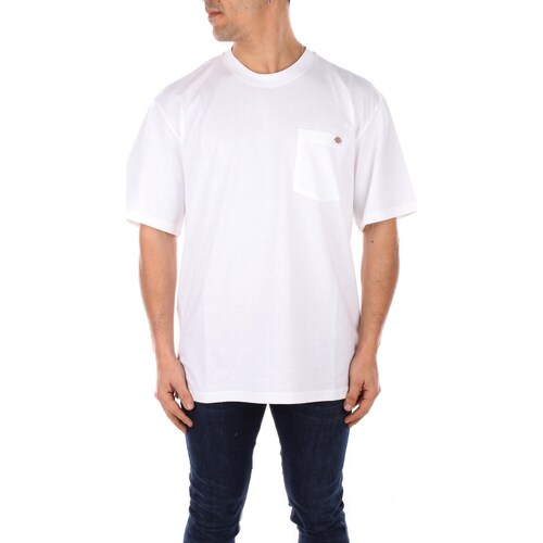 Vêtements Homme T-shirts manches courtes Dickies DK0A4YFC Blanc