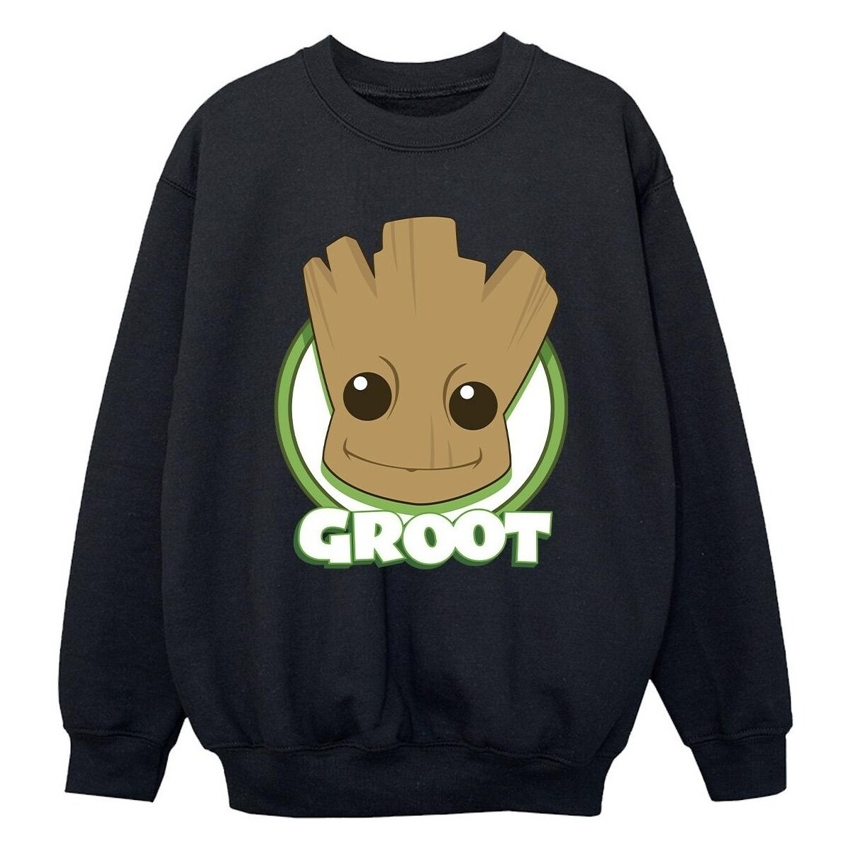Vêtements Garçon Sweats Guardians Of The Galaxy Groot Badge Noir