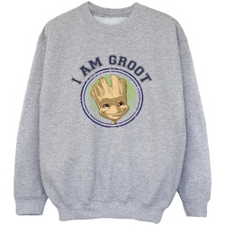 Vêtements Garçon Sweats Guardians Of The Galaxy Groot Varsity Gris