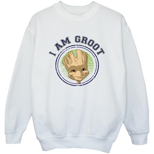 Vêtements Garçon Sweats Guardians Of The Galaxy Groot Varsity Blanc