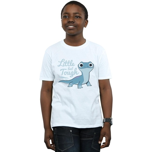 Vêtements Garçon T-shirts manches courtes Disney Frozen 2 Salamander Bruni Tough Blanc