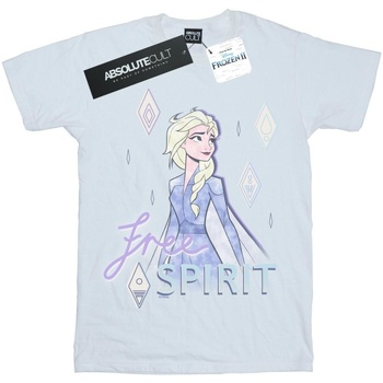 Vêtements Garçon T-shirts manches courtes Disney Frozen 2 Elsa Free Spirit Blanc