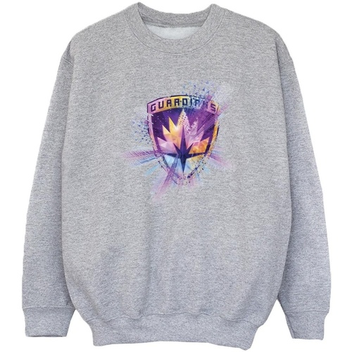 Vêtements Fille Sweats Marvel Guardians Of The Galaxy Abstract Star Lord Gris