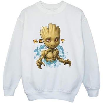 Vêtements Fille Sweats Guardians Of The Galaxy Groot Flowers Blanc